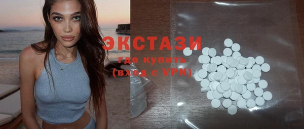 ECSTASY Каменка