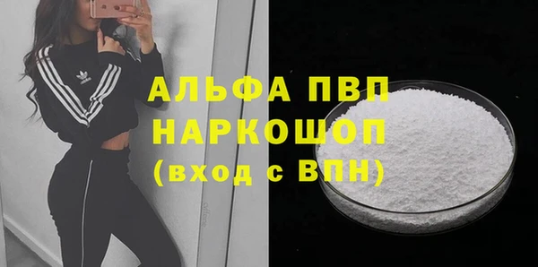 ECSTASY Каменка