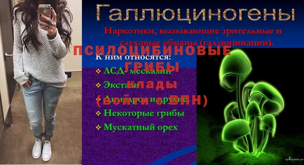 ECSTASY Каменка