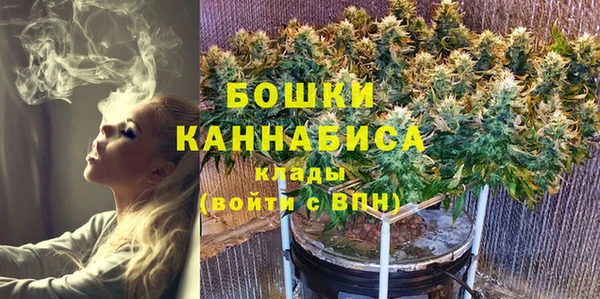 ешки Иннополис
