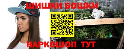 прущие грибы Мариинск